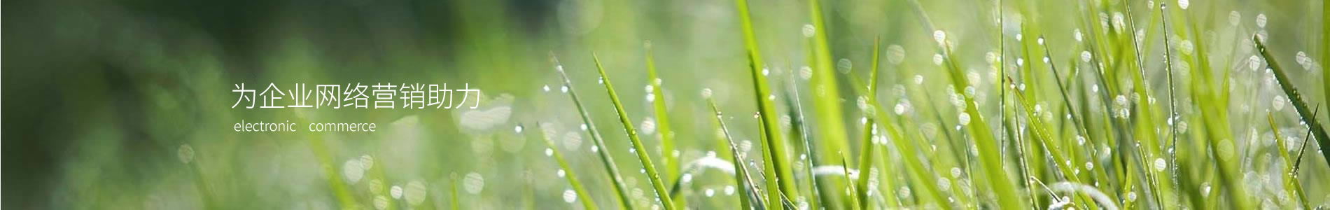 ӱ²ϿƼ޹˾